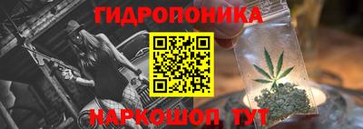 крисы Обнинск