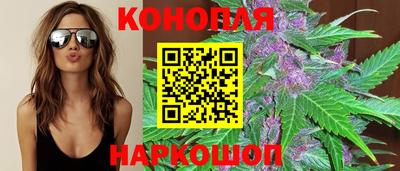 крисы Обнинск