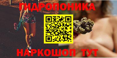 мдпв Обь