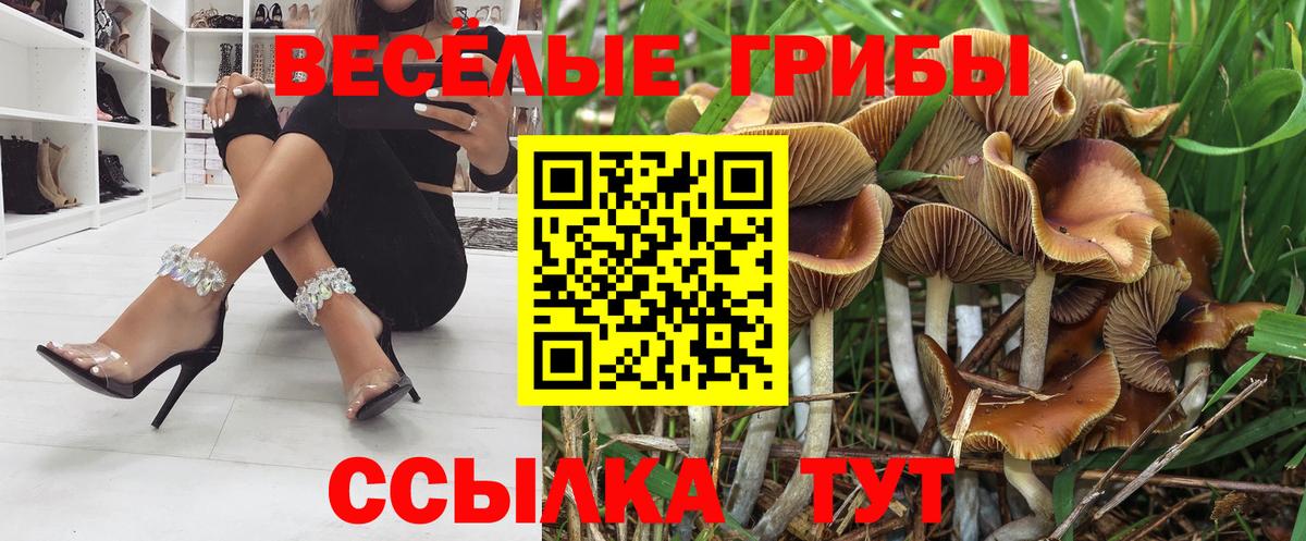 Псилоцибиновые грибы мицелий Усть-Джегута