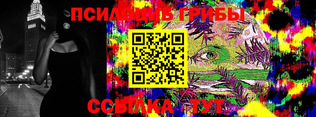 Усть-Джегута  Псилоцибиновые грибы Cubensis  Вход с VPN  Галлюциногенные грибы мухоморы 